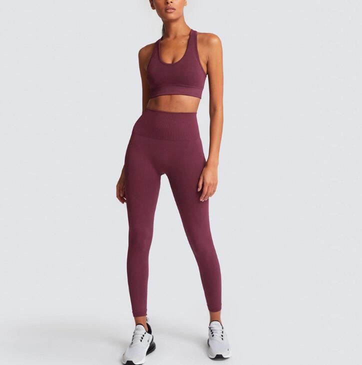 FlexiFemme Seamless 2-Piece Yoga Set Women Gym Running