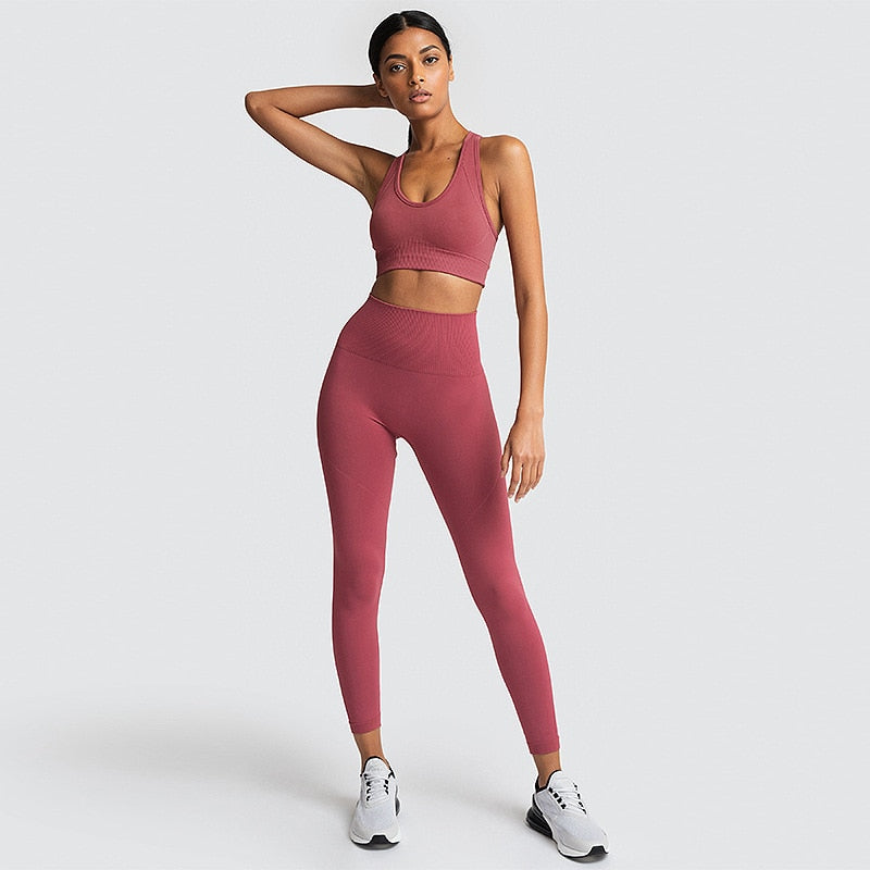 FlexiFemme Seamless 2-Piece Yoga Set Women Gym Running