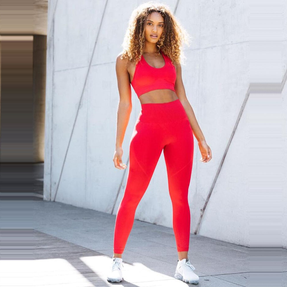 FlexiFemme Seamless 2-Piece Yoga Set Women Gym Running