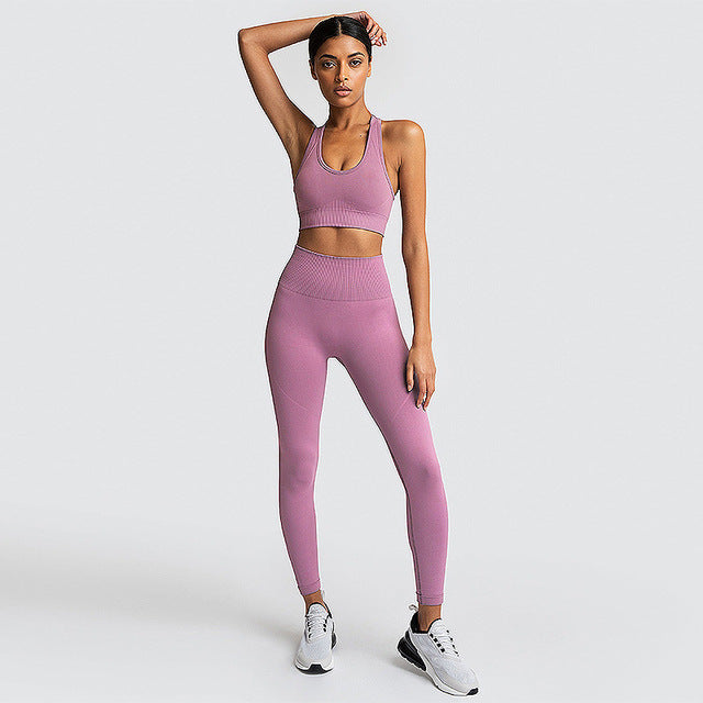 FlexiFemme Seamless 2-Piece Yoga Set Women Gym Running
