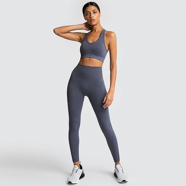 FlexiFemme Seamless 2-Piece Yoga Set Women Gym Running