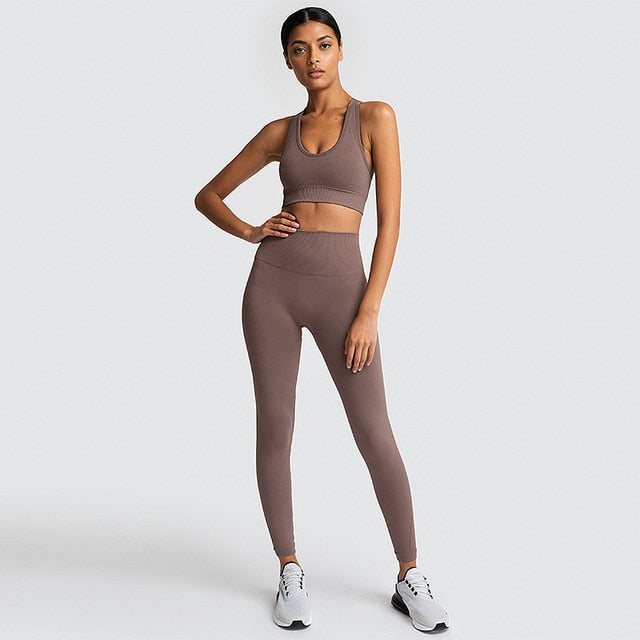 FlexiFemme Seamless 2-Piece Yoga Set Women Gym Running